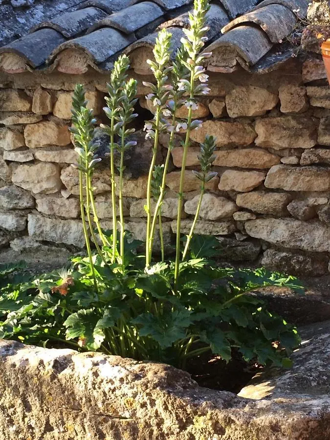 Le Verger Gordes