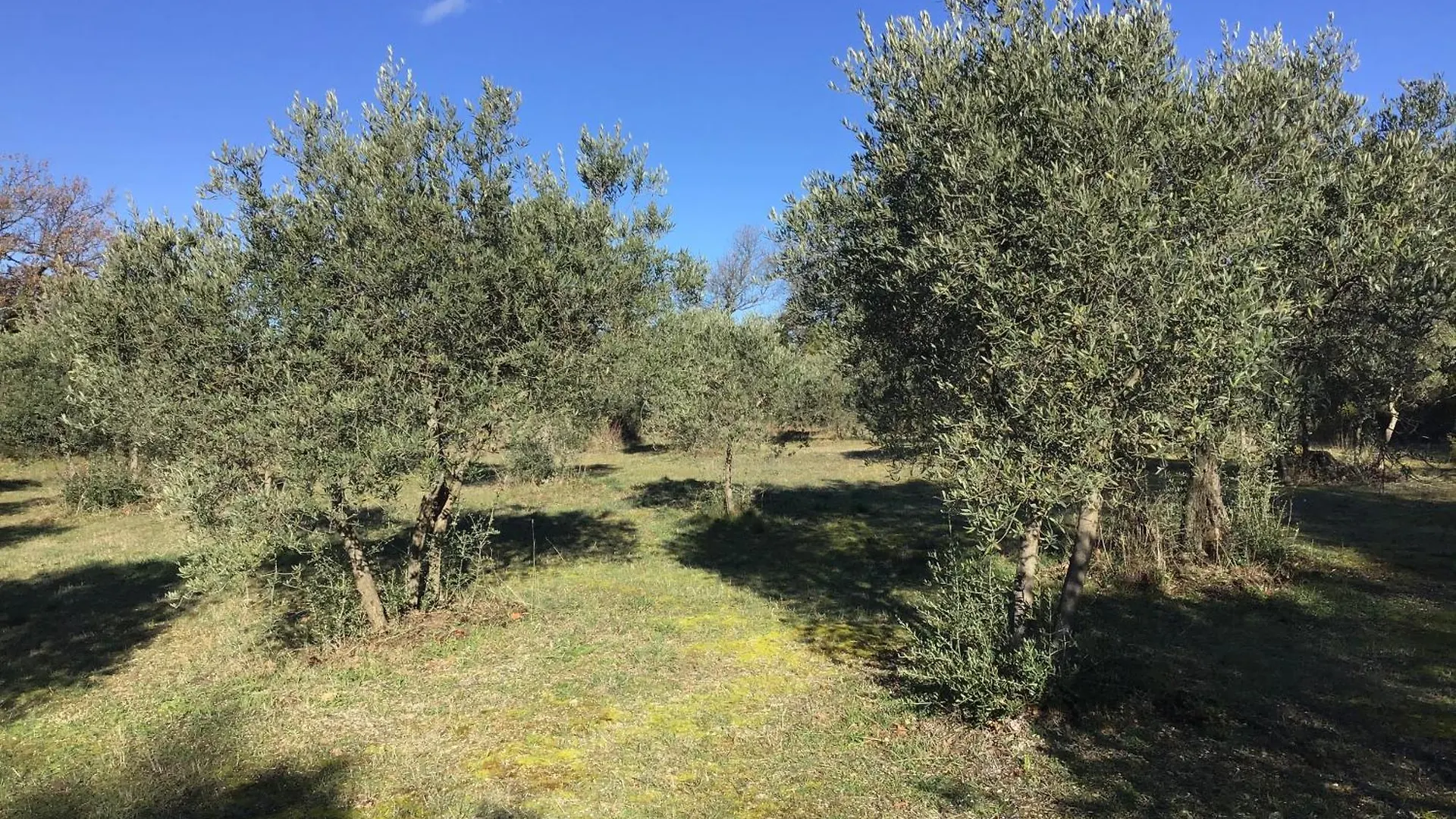 Le Verger Gordes 3*,  Frankreich