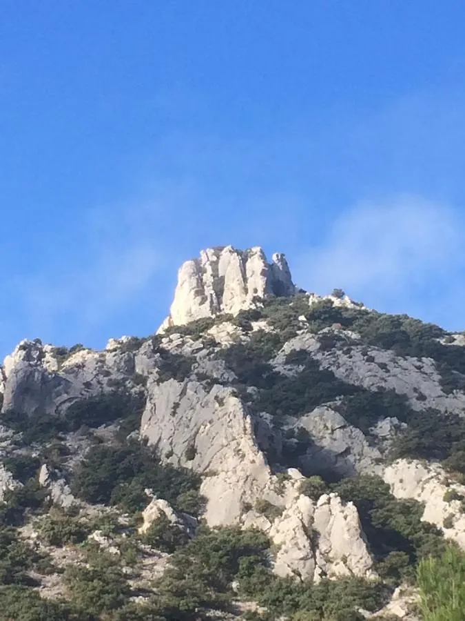 威尔吉尔住宿加早餐旅馆 戈尔德 法国